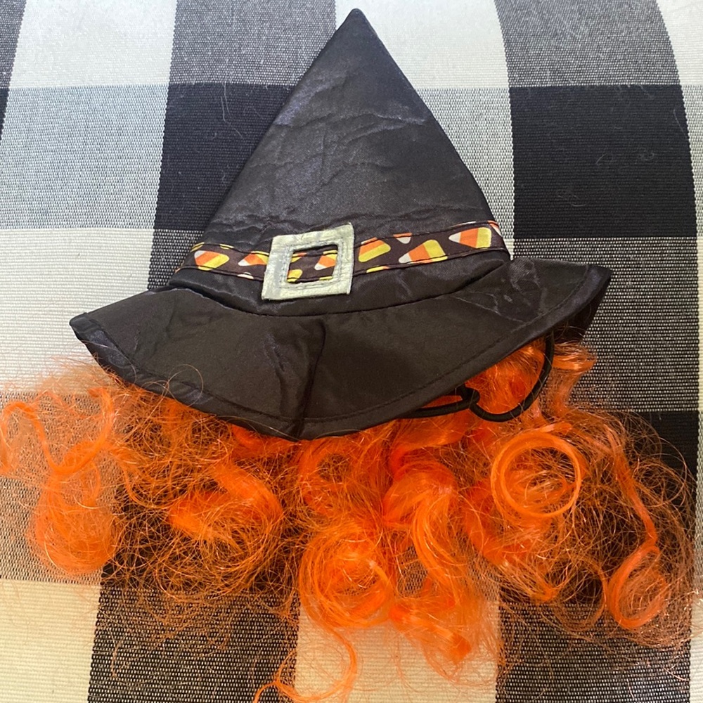Cat Halloween Hat